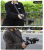 3de73aa55a7f4bb5b197d40363b2f78c.png