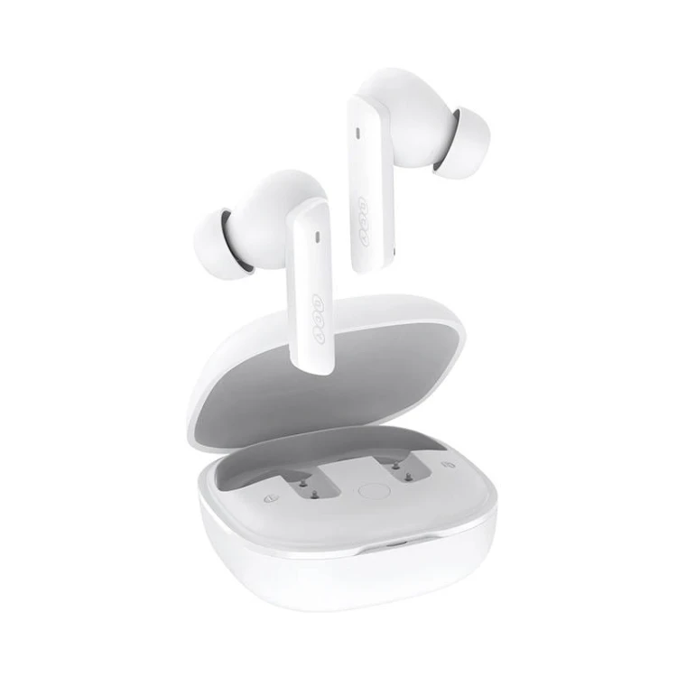 24771_3.jpg