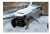 37973932533ed0c3d982c4aa98c355c7.png