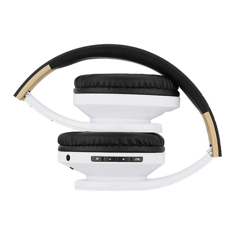 45654_3.jpg