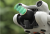 0ac2efc9b63ced13923afcaa2aa54138.png