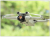 35837e8b1c8eecabe3bbf22625ebc98b.png
