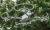 e2de2b796c1158c58e086e6e037a4618.png