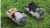 045d53e6a41a89826bb5dade5ba6ab1d.png