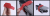 a112154ded120547443e841d287978de.png
