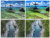 c08c9a8b5196baabc724f7b60fb46cfe.png
