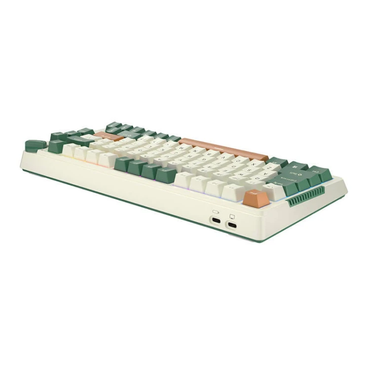 33710_4.jpg