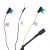 33026_5.jpg