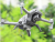 3b9babdc86e334c872dcb6536415ae0d.png