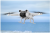 7a700c4845791a0f5d336043c558e6f5.png