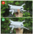b0126af55e263d1750782bb5746bcdeb.png