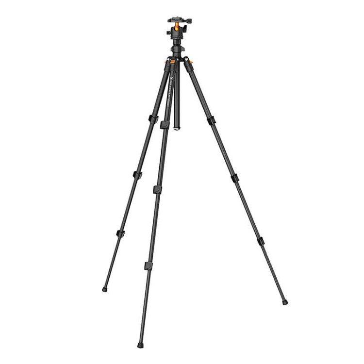 36491_5.jpg