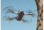 fcd178d40235d0f3d1a826328515f884.png