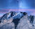 49db9480cf80f131918dce86c8bc4a2b.png