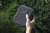 ba39f2b130341c255ac57fd270468559.png
