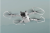 22d34ea785b7c1fe8479f0ccd631c4b6.png