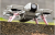 6c418796a0633601aae7df2611b68648.png