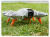 1ec601d53b44a487c13ec5985c130d7b.png