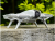 b95b37f96636771067c8c529b2e33f8c.png