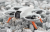 259ac7898d5eb8eabf71b4ddb88d8bb4.png