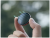 ab7b42e390601af17ef28bfebb5e004b.png