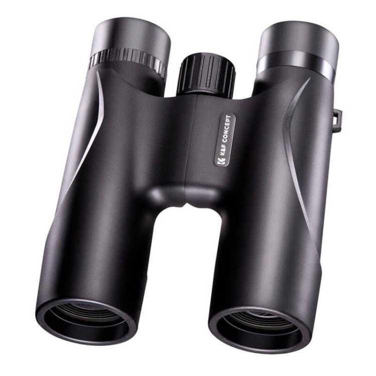 45286_1.jpg