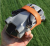 d61eedf32a0f180767d15f19fce07703.png