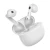 25276_5.webp