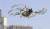 42cfb41494bb761e3d083f5a63b8613a.png