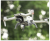 b727c3918a8b5b758202f67849a05be8.png