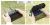 c558ec8db123f328a903d3861c4c6b00.png