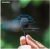 e80594dafb9ba104afe95ca6fe091b50.png