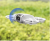 80f651a573d1d61c701a18548754301f.png