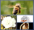 787319875e31caec05e629a0232db530.png