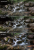 a689a092990eb3fedab371d2425a1638.png