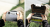 b72f4b5467ed0328f8492d56a2e2659b.png