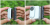 99867a00b56b4e435ec29a802c383aff.png