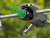 75649f3b6e20d55fb74ad6a1a9b399de.png
