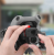 90e9487f6be939620583d1c5fe891533.png