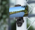 407df109616fd67ca4a7a8b18caaa704.png