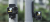 242aea8fd8fa1d68208d7768eaadeecb.png