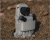 d45fc8fff9384086c9deb7bfa8dc4a25.png
