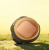 3172e27567535ec21b85e8be852caa1b.png