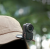 7ba99b604fbecb03c9bf87ff77910596.png