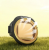 11527fbfd292cc46c5b3c070a862568e.png