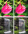 7755580159cf67dacf7693caad3760d5.png