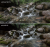 5ccf5b9c00be62231e6de8f551d3bed8.png