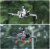 8288c4d2ff3b1b211d290656c599f76f.png