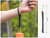 c149dfcbd1a20599fed04a31abbfac3b.png