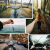 5b0077da2c1a7ac36a644edb4cd3eda6.png